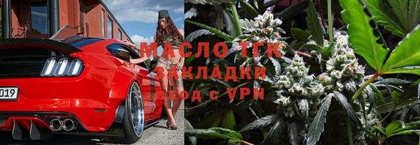 прущие грибы Заводоуковск