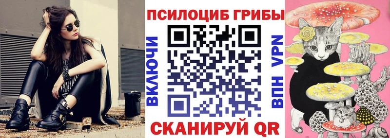Псилоцибиновые грибы мицелий наркошоп нарко площадка состав Апатиты